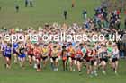 Boys Under-15s, 2024 CAU Inter Counties Cross Country Champs., Wollaton Park, Nottingham. Photo: David T. Hewitson/Sports for All Pics